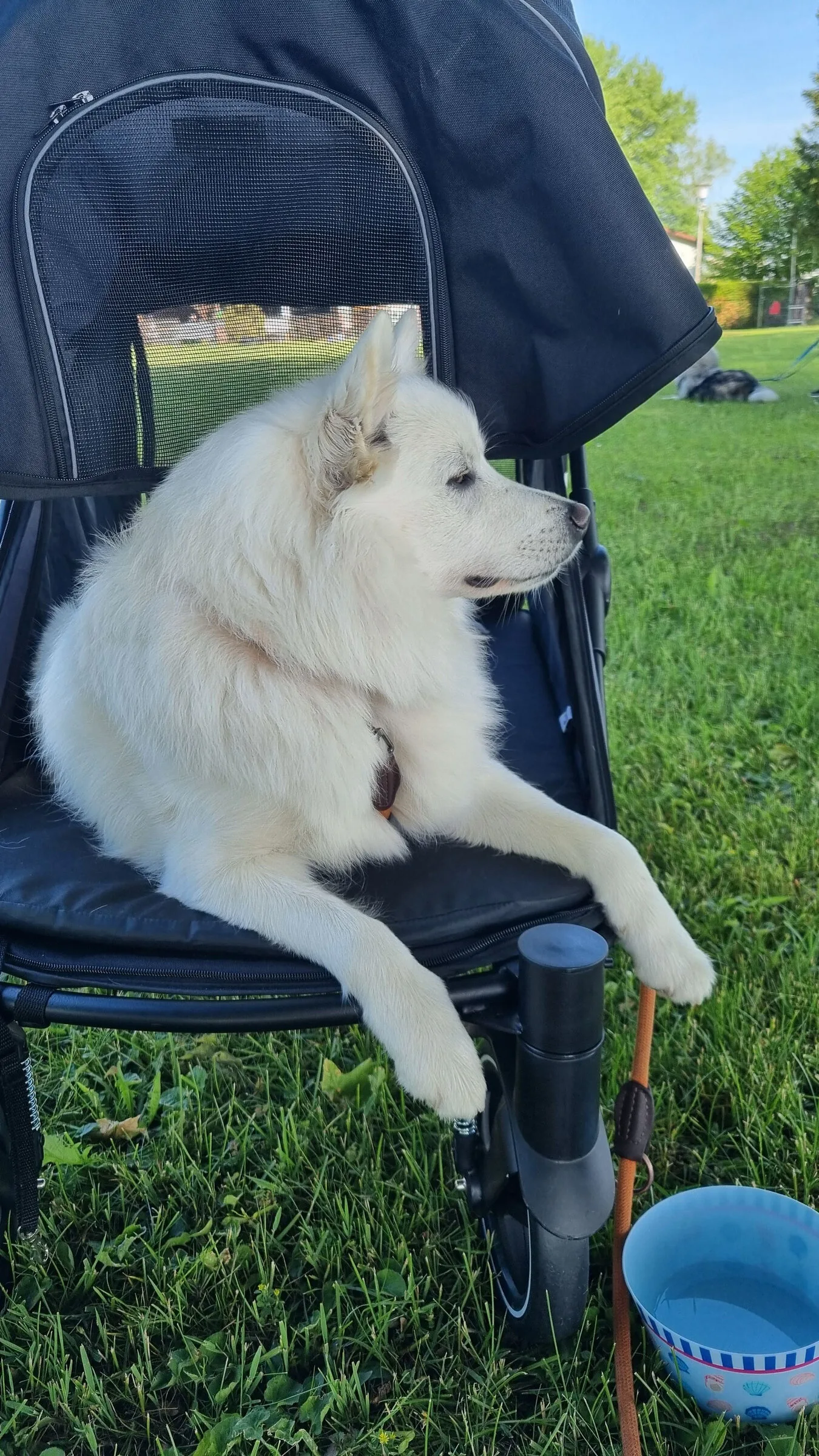 Luzie